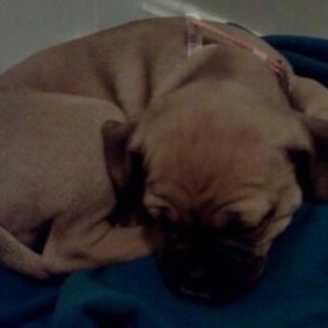 Meet your Posher, Kari